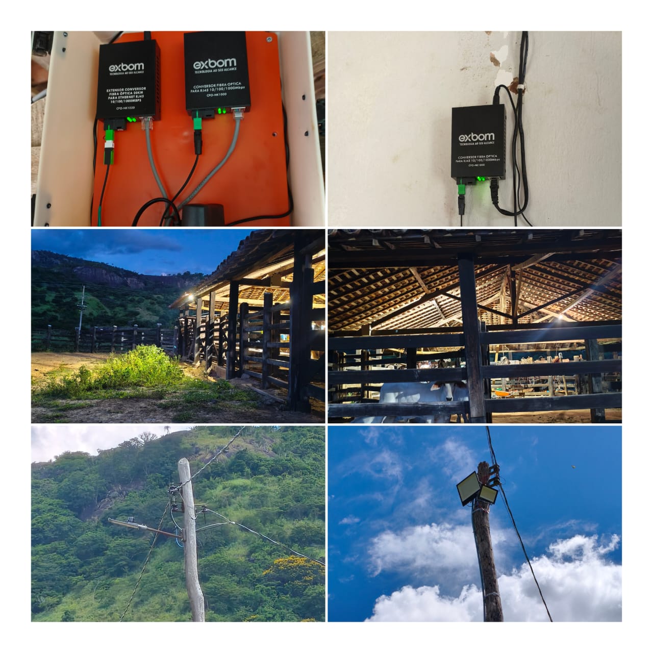Fibra 006